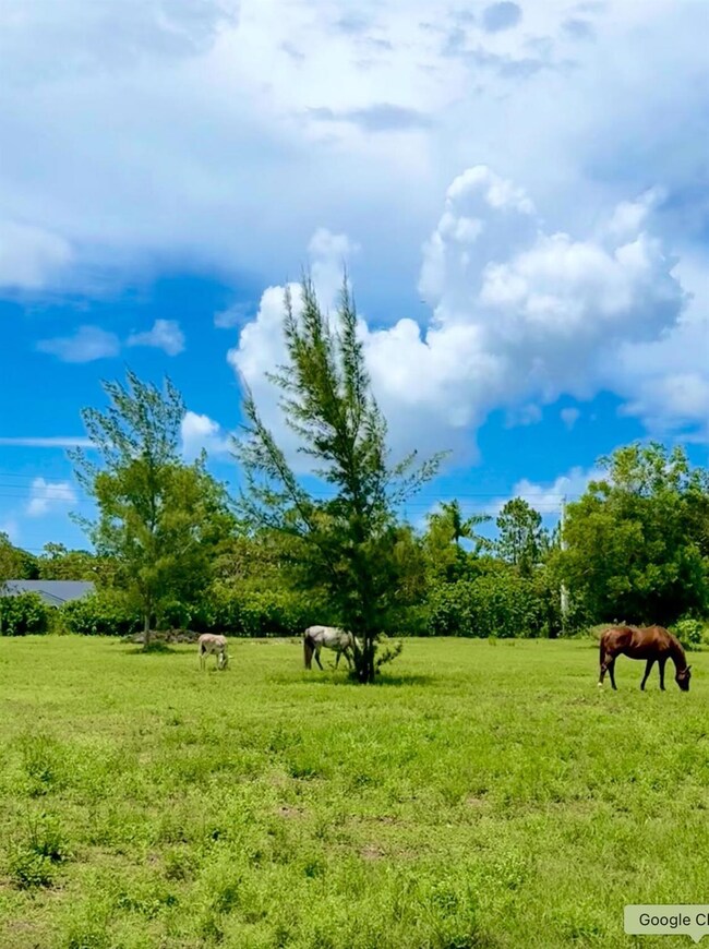 12398 Tangerine Blvd, West Palm Beach, FL 33412 - photo 6