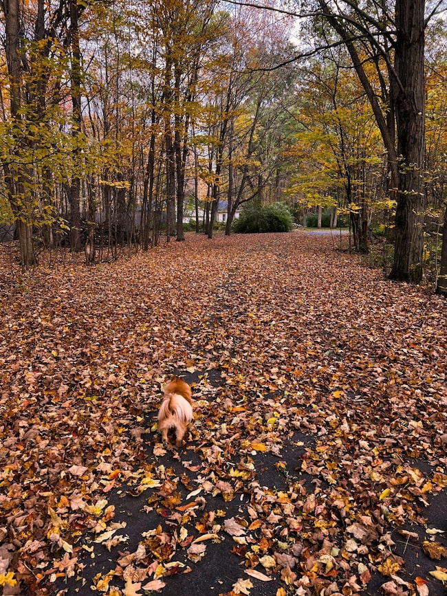 864 O'Neil Rd, West Chazy, NY 12992 - photo 2