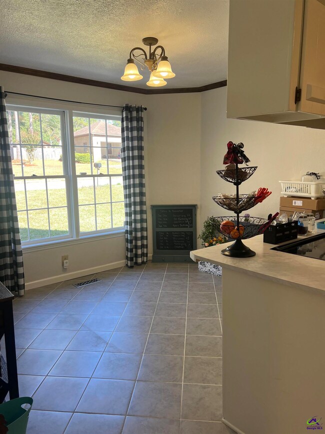 311 Overlook Dr, Montezuma, GA 31063 - photo 6