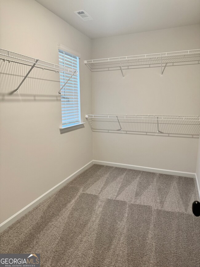 202 Egret Ct, Hoschton, GA 30548 - photo 7