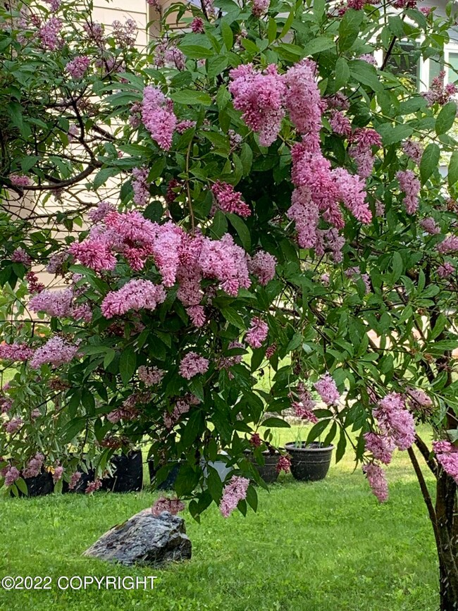 2510 Kilkenny Cir, Anchorage, AK 99504 - photo 7