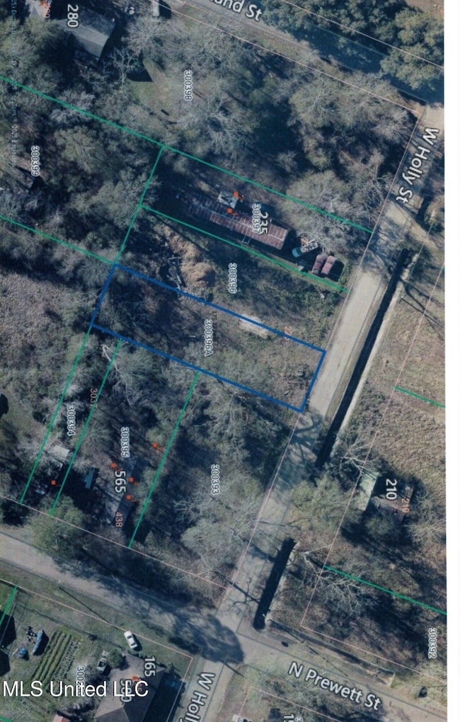 224 W Holly St, Magnolia, MS 39652 - photo 6