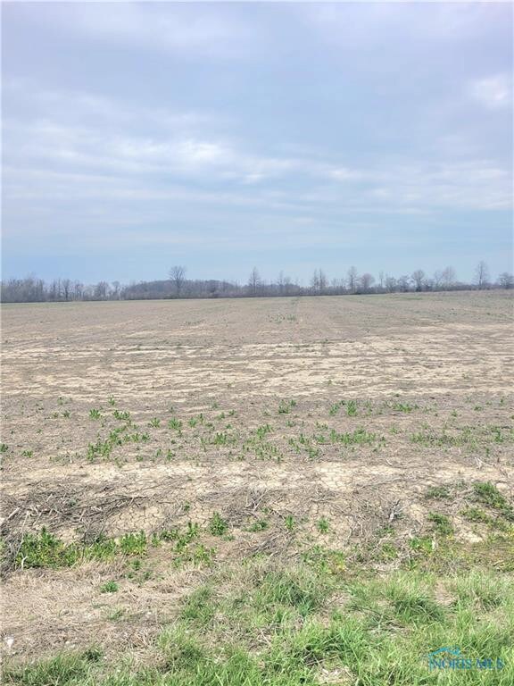 19367 W Walbridge Rd, Martin, OH 43445 - photo 4