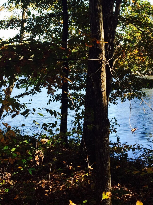 22 Dockside Dr, Crossville, TN 38558 - photo 6