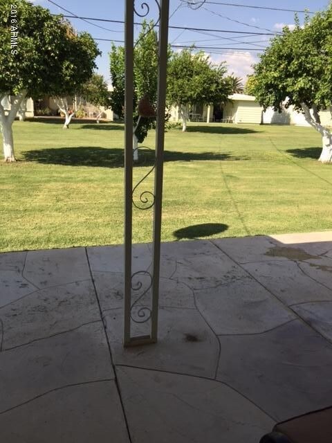 GREEN BELT FROM PATIO