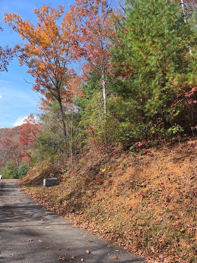 Lot 134 Diamond Falls Estates, Franklin, NC 28734 - photo 3