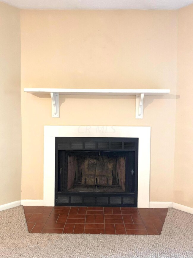 Fireplace in living area
