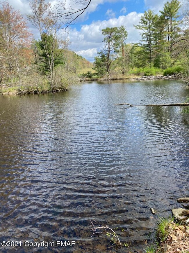 Pond