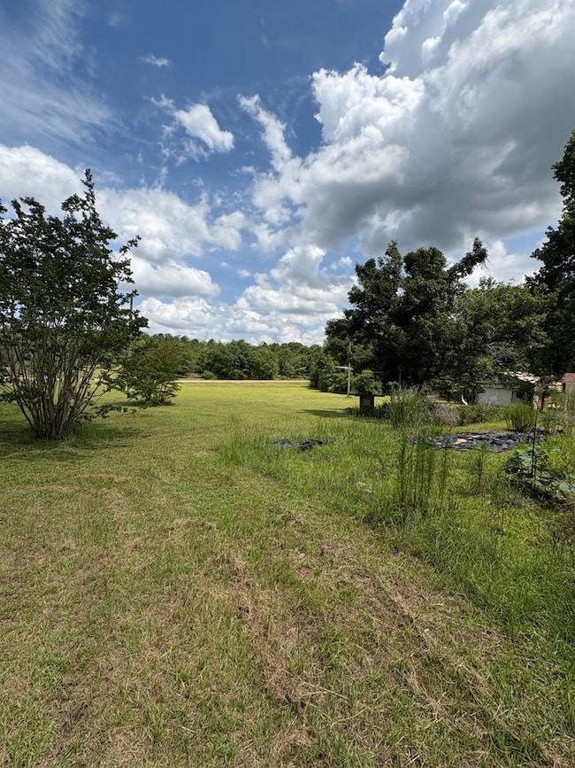 4497 Simmons Dairy Rd, Blakely, GA 39823 - photo 4