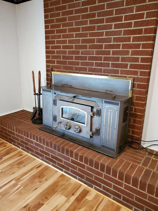 Fireplace Insert