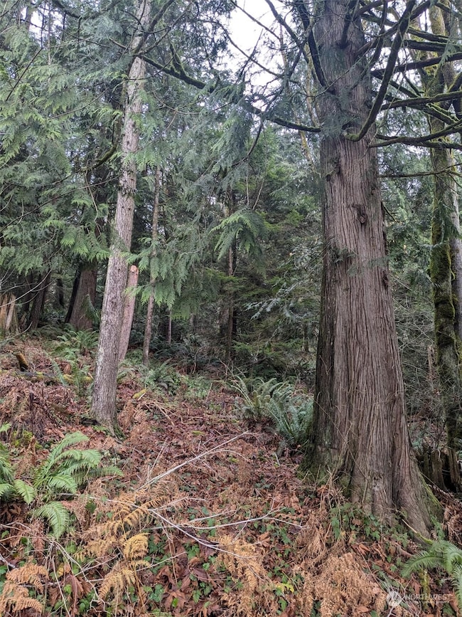 0 West Rd, Sedro Woolley, WA 98284 - photo 2