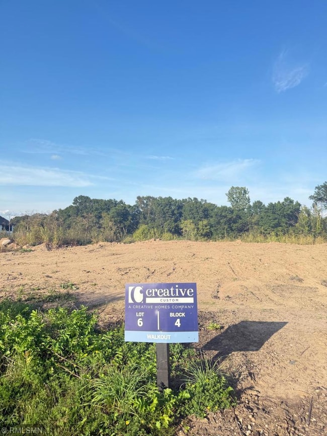 10484 56th Place N, Lake Elmo, MN 55042 - photo 5