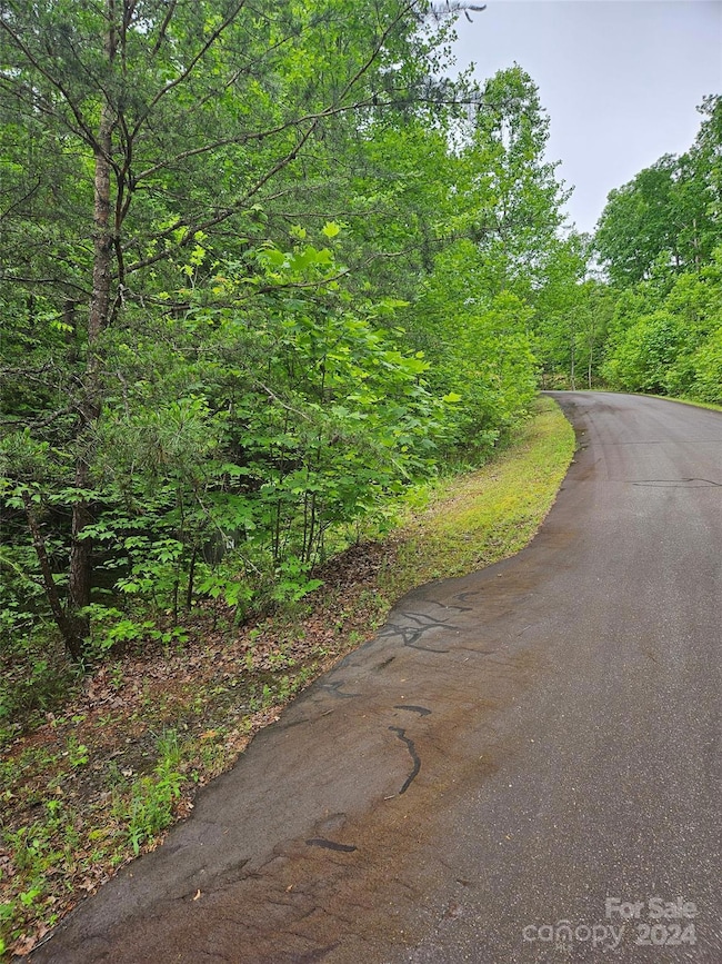 00 Brookside Pkwy unit 24, Lake Lure, NC 28746 - photo 7