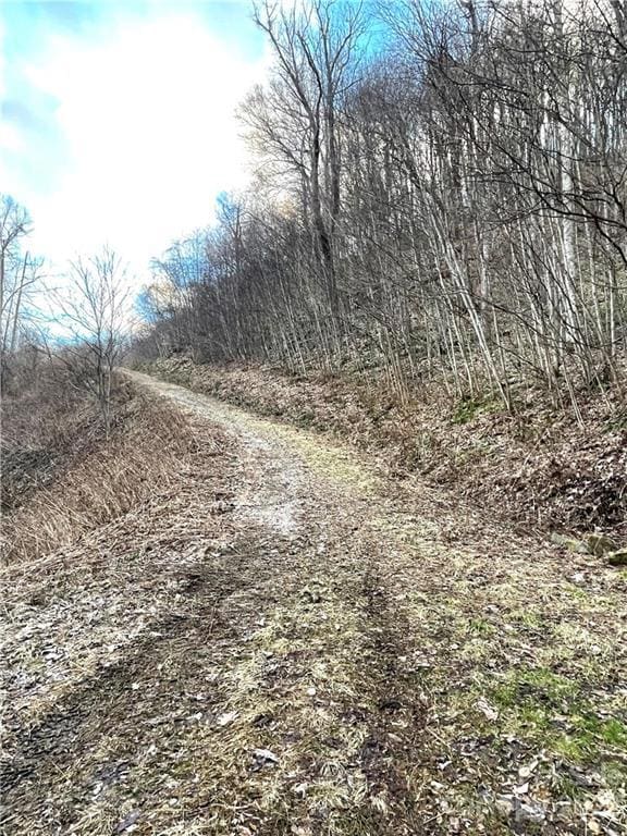 Cleared road that leads straight to the house site.