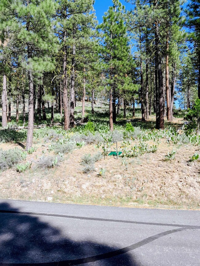 Wooded and open.