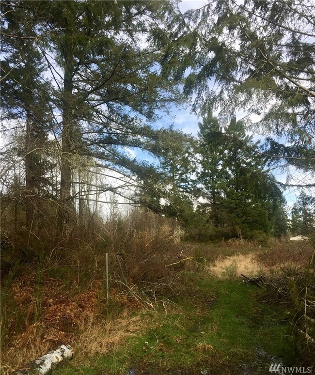 8709 Erickson Rd SW, Longbranch, WA 98351 - photo 3