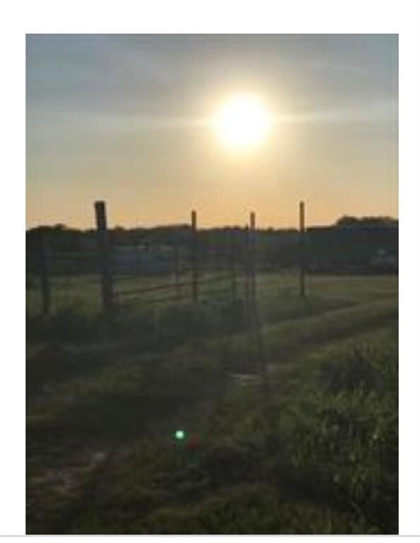 2121 SW County Road 0025, Corsicana, TX 75110 - photo 3