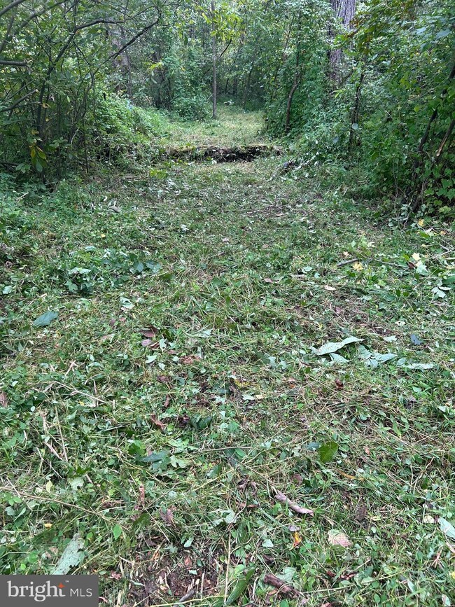 0 Luttrellville Ln unit VARV2000552, Farnham, VA 22460 - photo 4