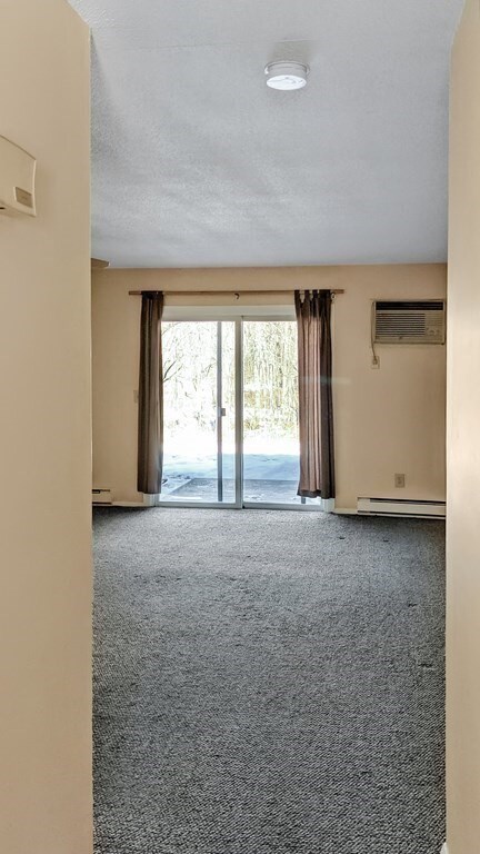 170 E Hadley Rd unit 100, Amherst, MA 01002 - photo 4