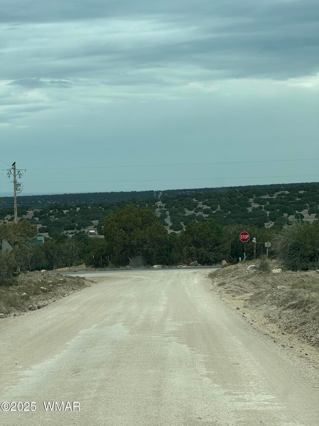 55 Ponderosa Dr, Concho, AZ 85924 - photo 7