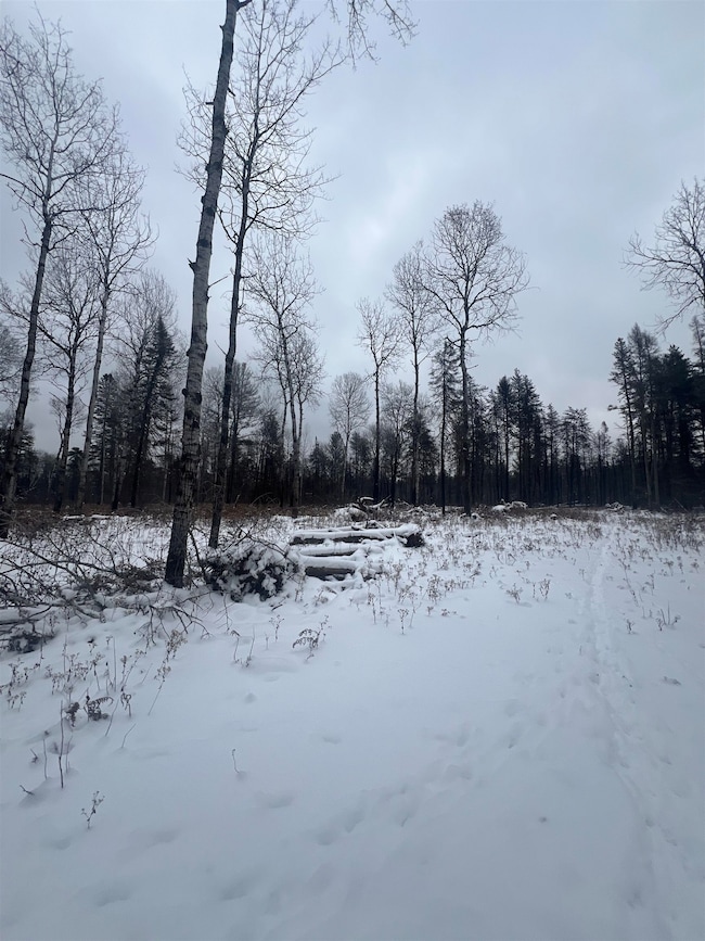 2260 Highway 44, Brimson, MN 55602 - photo 6