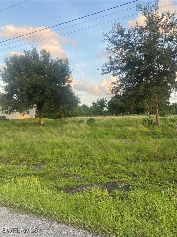 View of nature