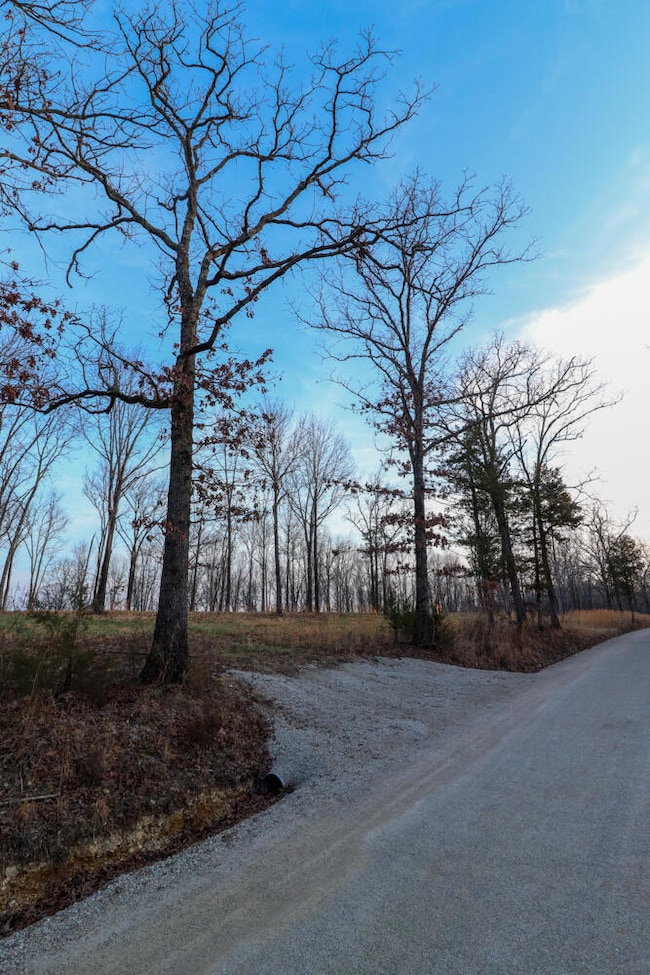 000 Barton Rd, Cedar Creek Township, MO 65627 - photo 5