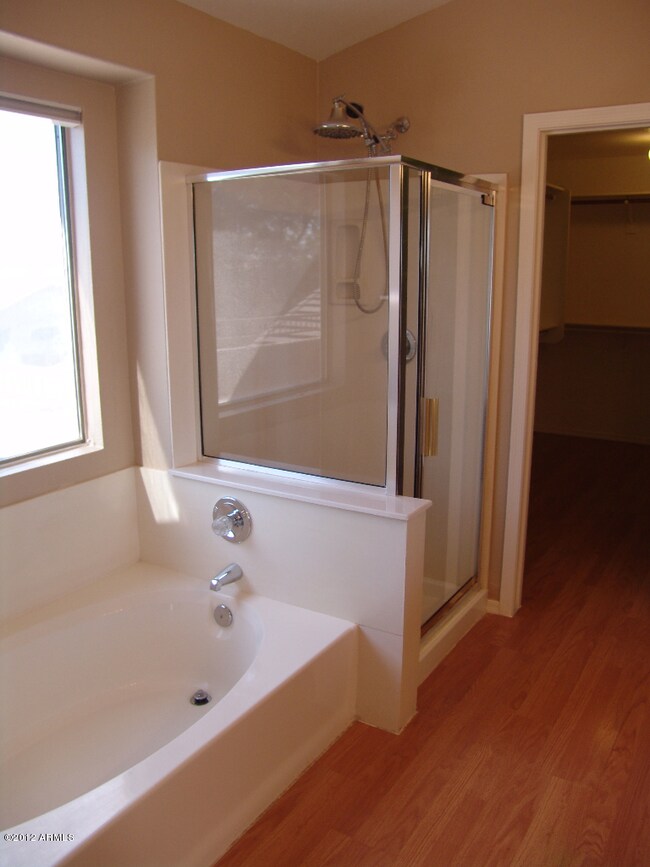 Master Bath - Separate tub and Shower