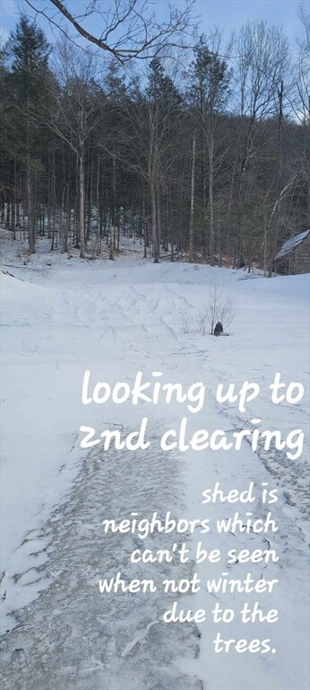 145 E Buckland Rd, Shelburne Falls, MA 01370 - photo 3