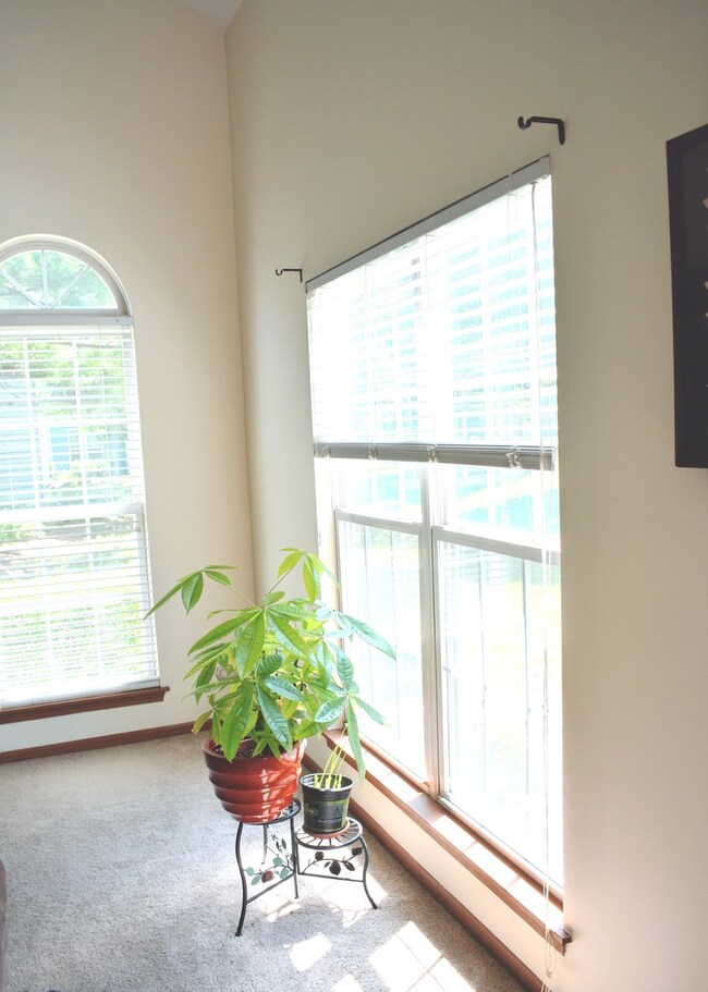 Arched windows provide light