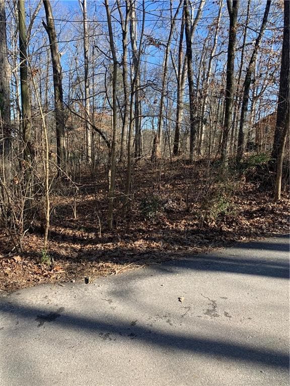 0 Ward Rd unit 7174145, Union City, GA 30291 - photo 5