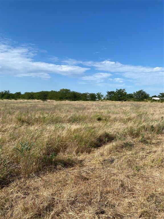 Lot 3 TBD County Rd 4306, Greenville, TX 75401 - photo 4