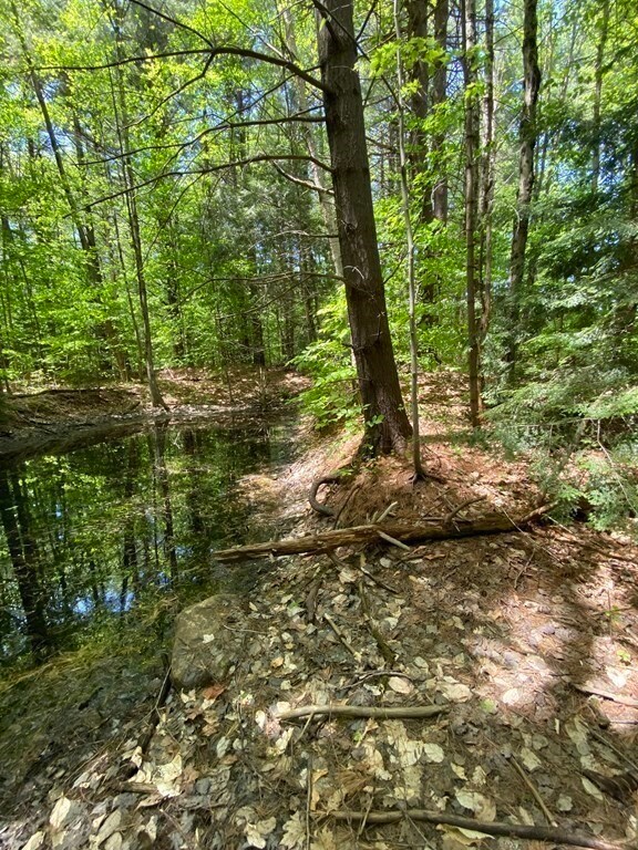 0 Bryant Rd L:16, Cummington, MA 01026 - photo 7