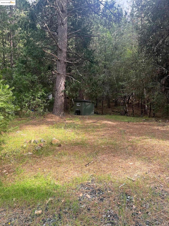 00 Italian Bar Rd, Twain Harte, CA 95383 - photo 7