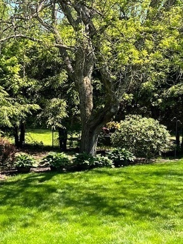 76 Orchard St, Raynham, MA 02767 - photo 6