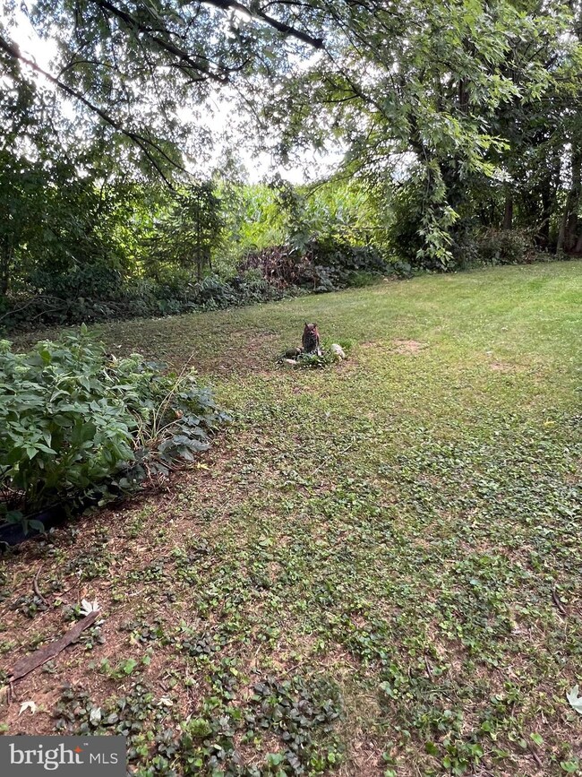 80 Quarry Rd unit 29, Kutztown, PA 19530 - photo 6