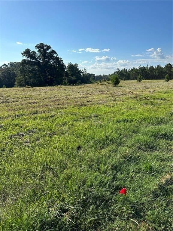 0 Hampton Rd unit 24516393, Mobile, AL 36608 - photo 7