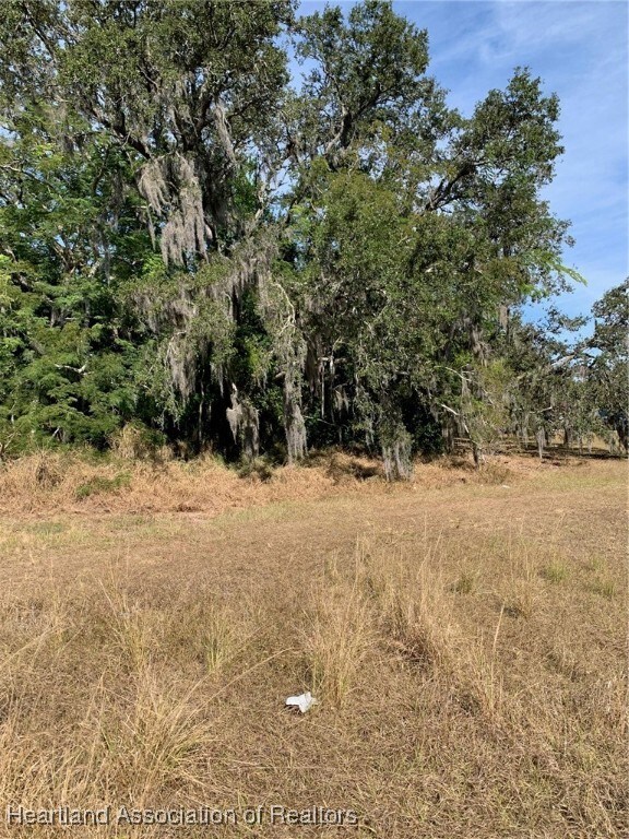 407 E Citico St, Avon Park, FL 33825 - photo 7