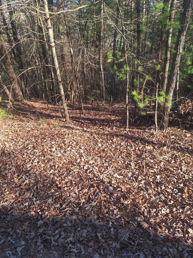 0 Toccoa River Ln unit 402049, Mineral Bluff, GA 30559 - photo 7