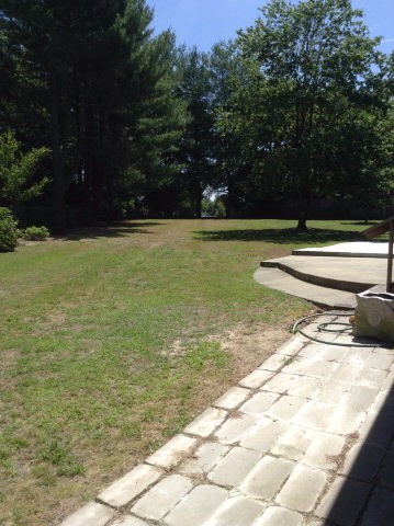 Patio in Back Yard