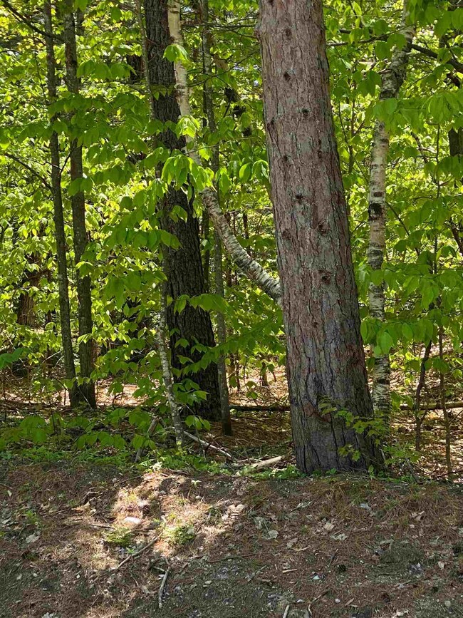 Lot 14 Chapel St, Conway, NH 03860 - photo 5