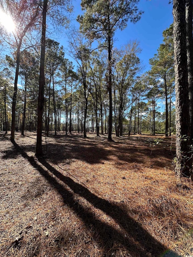 TBD Highway 707, Myrtle Beach, SC 29588 - photo 5