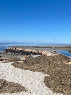 Rock Harbor 1