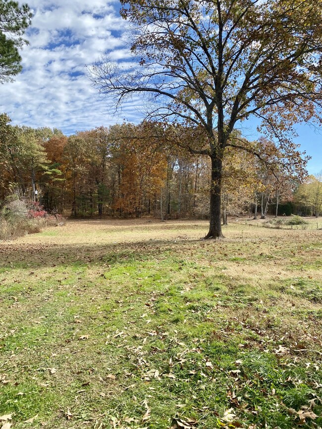 259 Brandontown Rd, Manchester, TN 37355 - photo 2