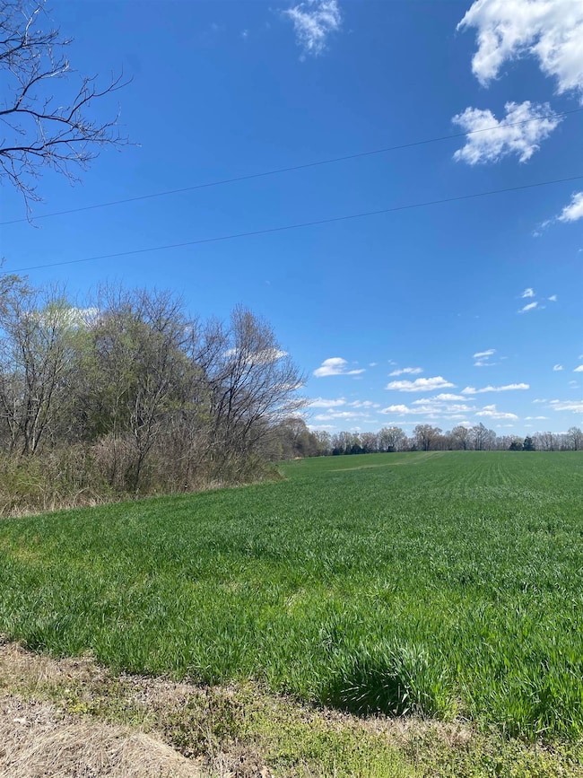 00 Fredonia Rd, Mason, TN 38049 - photo 2