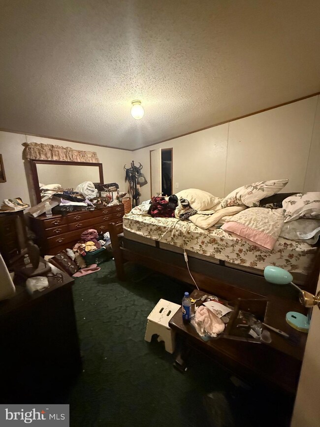 113 Diamond Way, Berkeley Springs, WV 25411 - photo 6