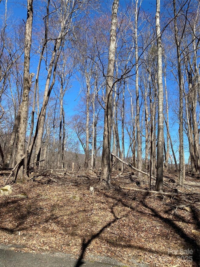 0000 Raleigh Dr unit 8 & 9, Lake Lure, NC 28746 - photo 4