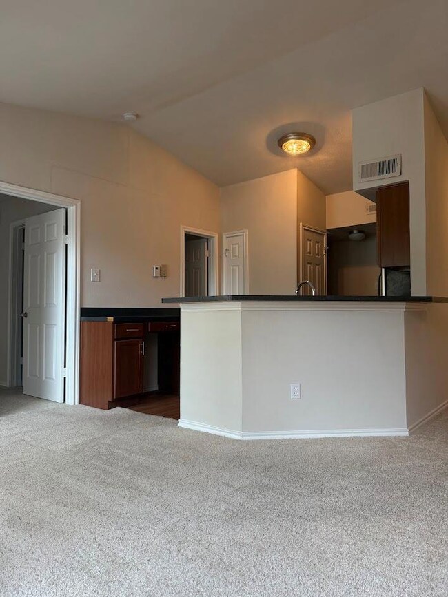 Kitchen featuring dark carpet, dark countertops, 