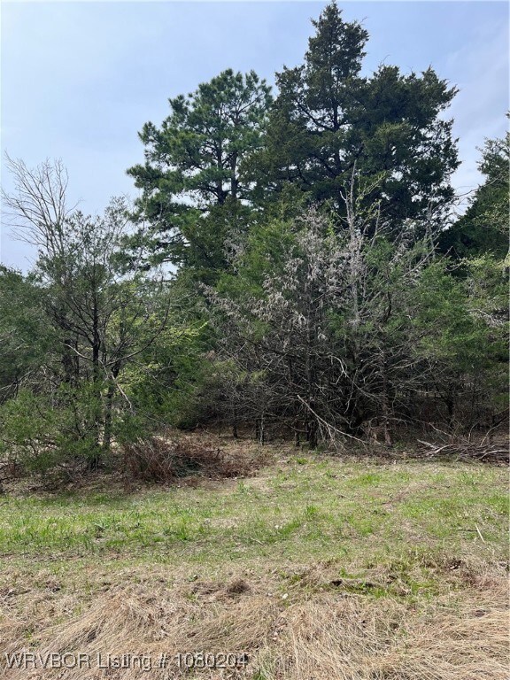Tract 3 Station Rd, Bokoshe, OK 74930 - photo 4