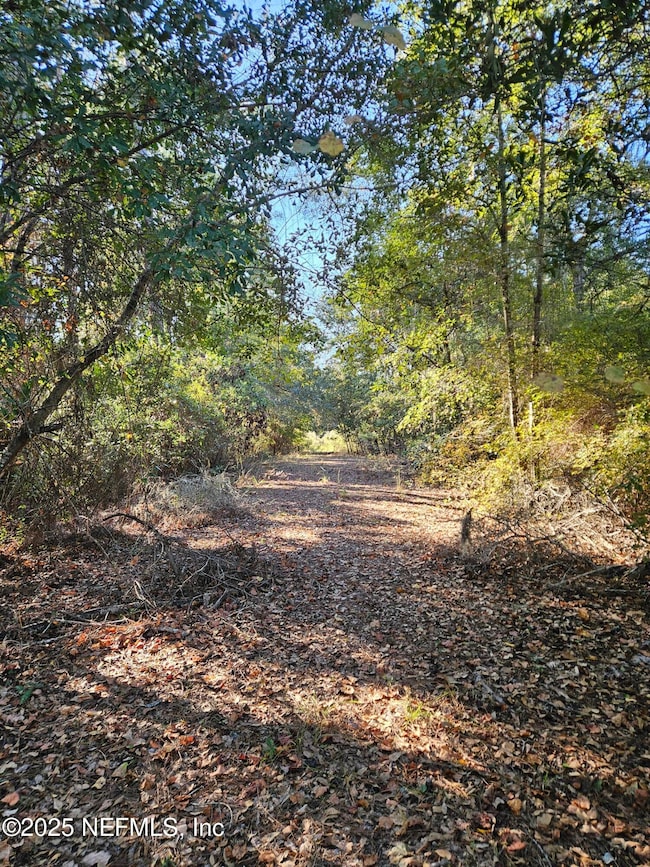 306 Lakeshore Dr, Starke, FL 32091 - photo 4